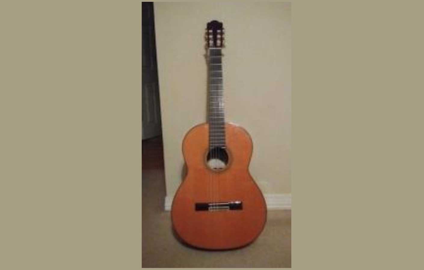 USA GUITAR SOLO RECITAL