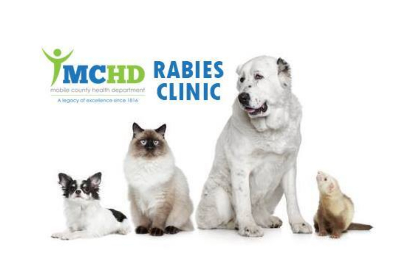 WEEKEND RABIES CLINIC