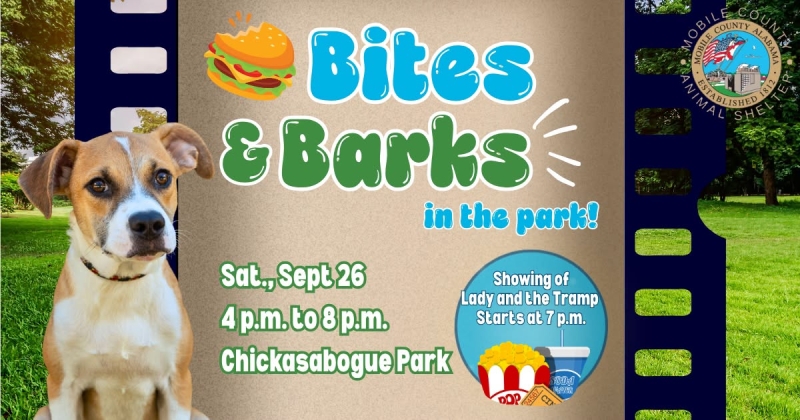 Event Banner