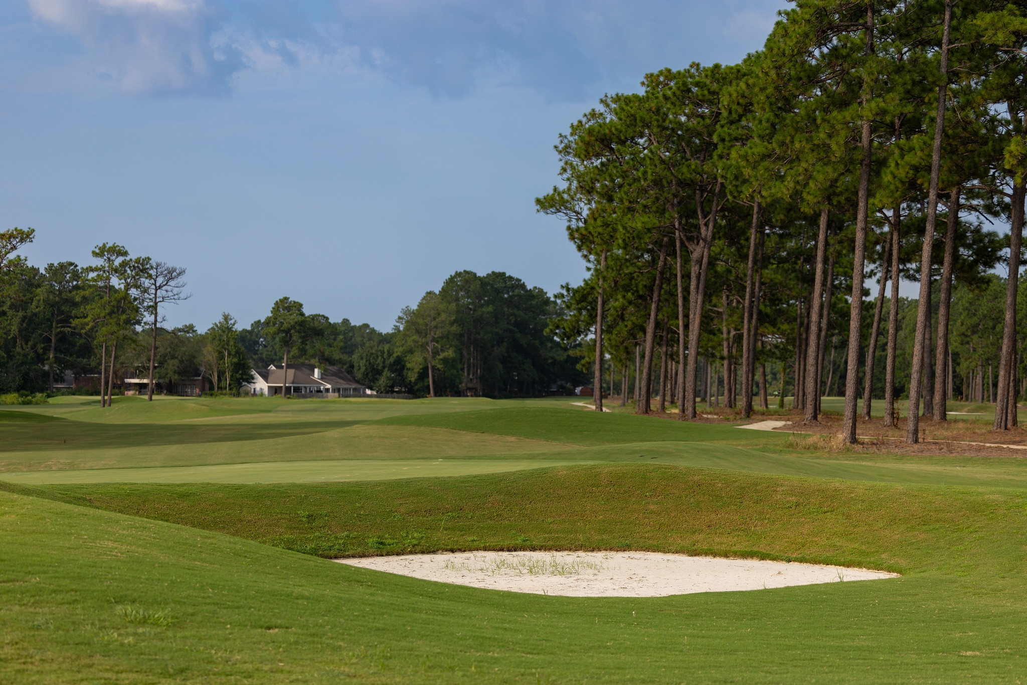 photo of greens with a square sand hazard