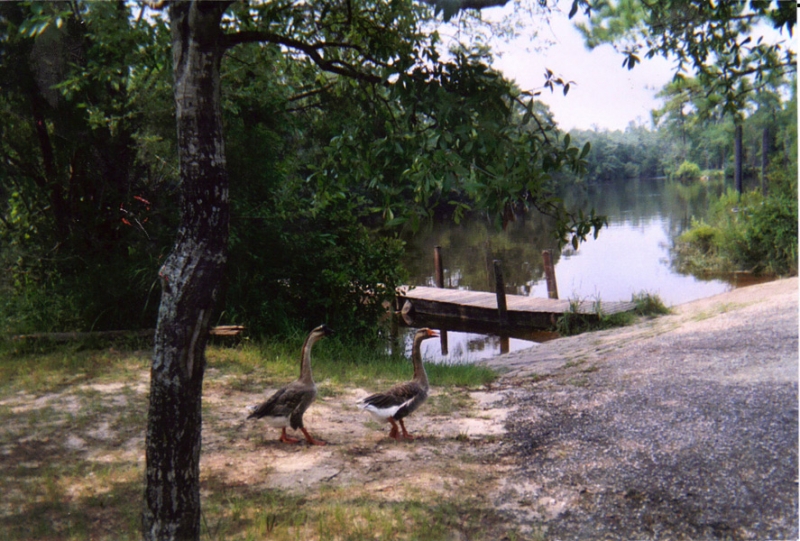 Gallery of Images of  West Mobile County Park 
