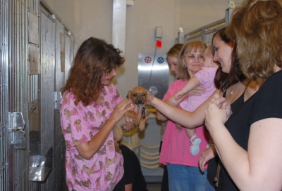 Animal Shelter Gallery Image 1