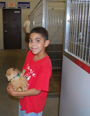 Animal Shelter Gallery Image 2