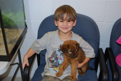 Animal Shelter Gallery Image 4