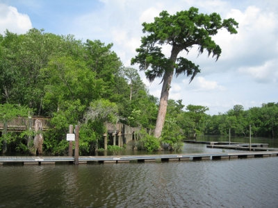 River Delta Park Gallery Image 3