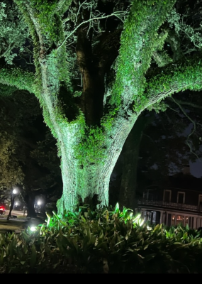 Operation Green Light Gallery Image 11