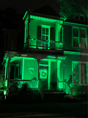 Operation Green Light Gallery Image 15