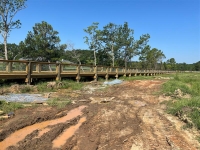 Cypress Creek Golf Course Gallery Image 183