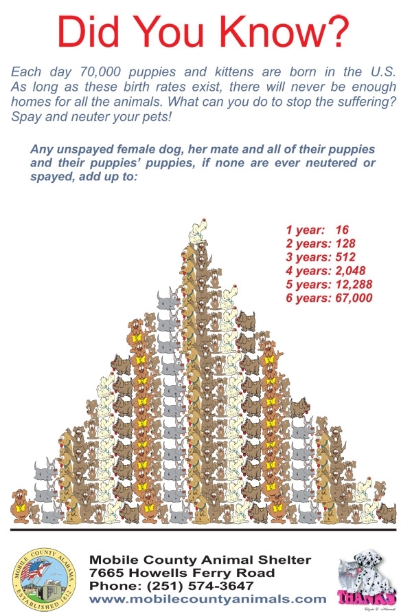 illustration of diagram for having pets spayed and neutered