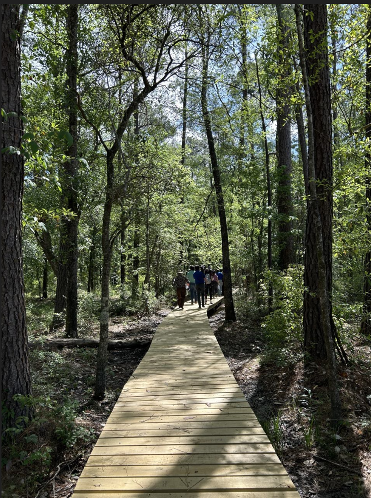 New mountain biking trails near the day-use area at Mobile County's Chickasabogue Park.