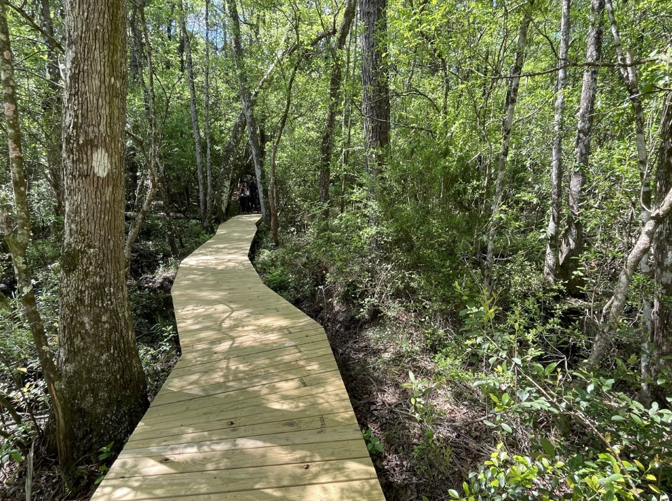 New biking trails at Chickasabogue Park.