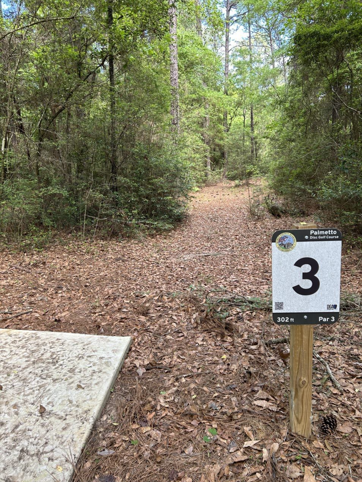 Improved disc golf course at Chickasabogue Park. Photo of hole #3.